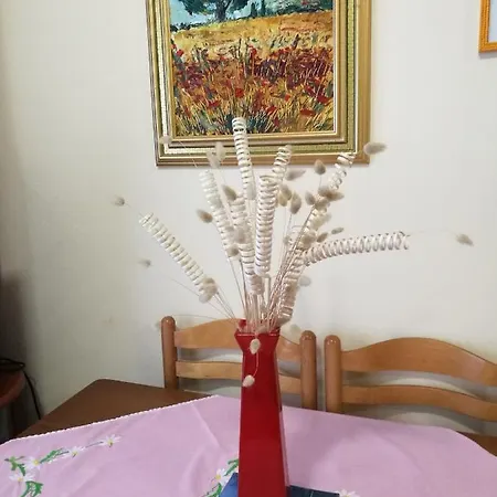 Nada Seaview * Shëngjin